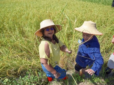 SS Rice News Convention 2025, Pattaya - Thailand